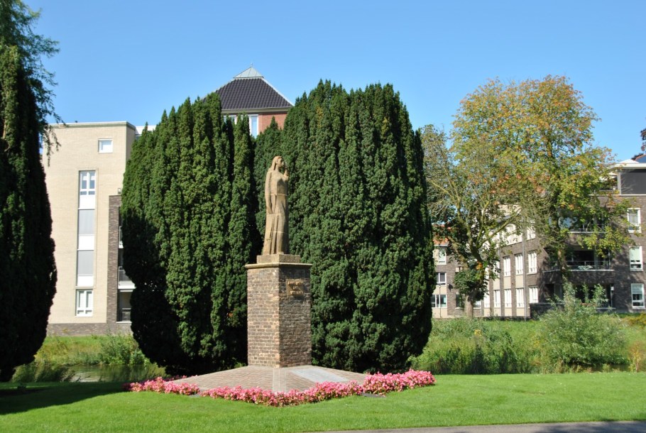 Тис Фастигиата изгородь