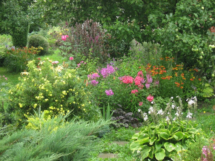 Лапчатка кустарниковая в миксбордере