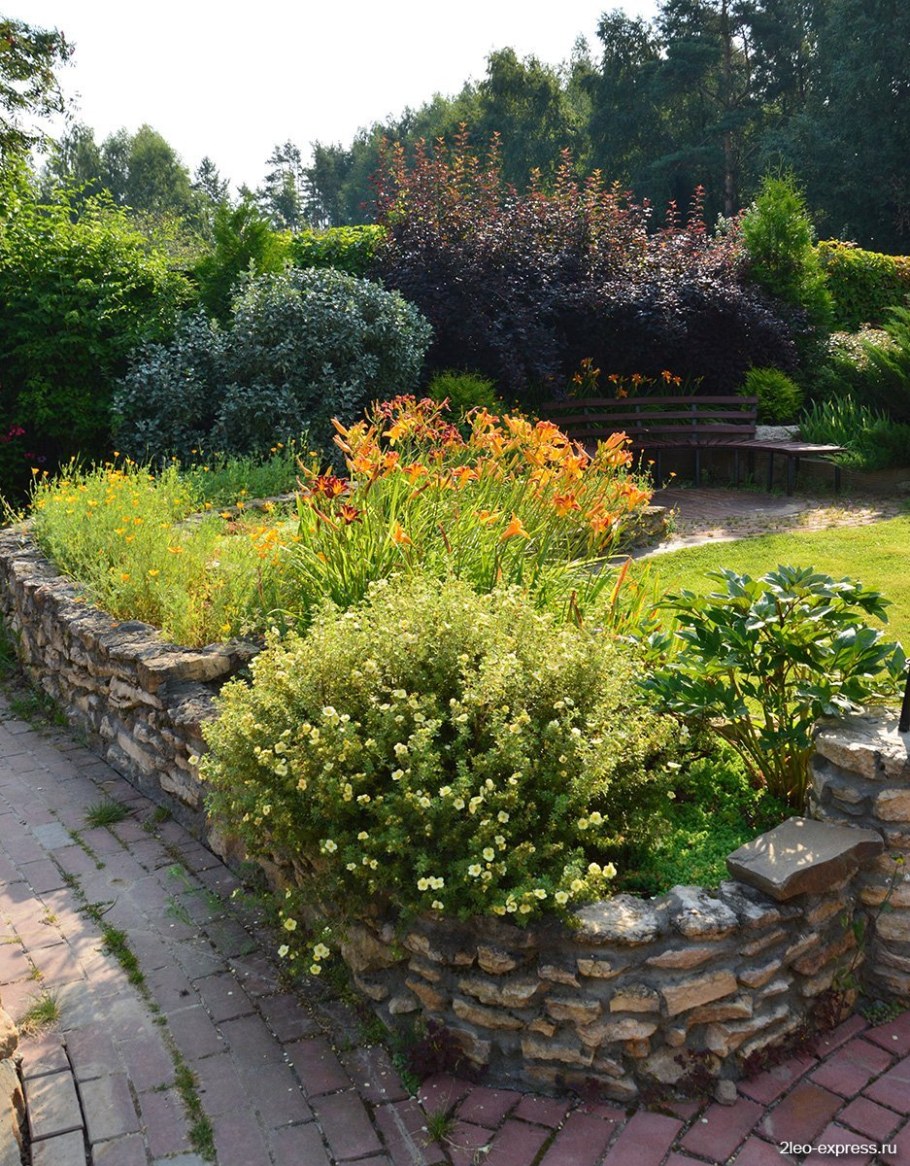 Клумба с лапчаткой кустарниковой