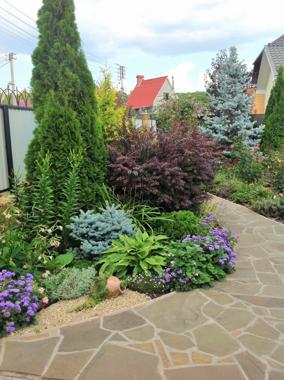 Лапчатка и можжевельник