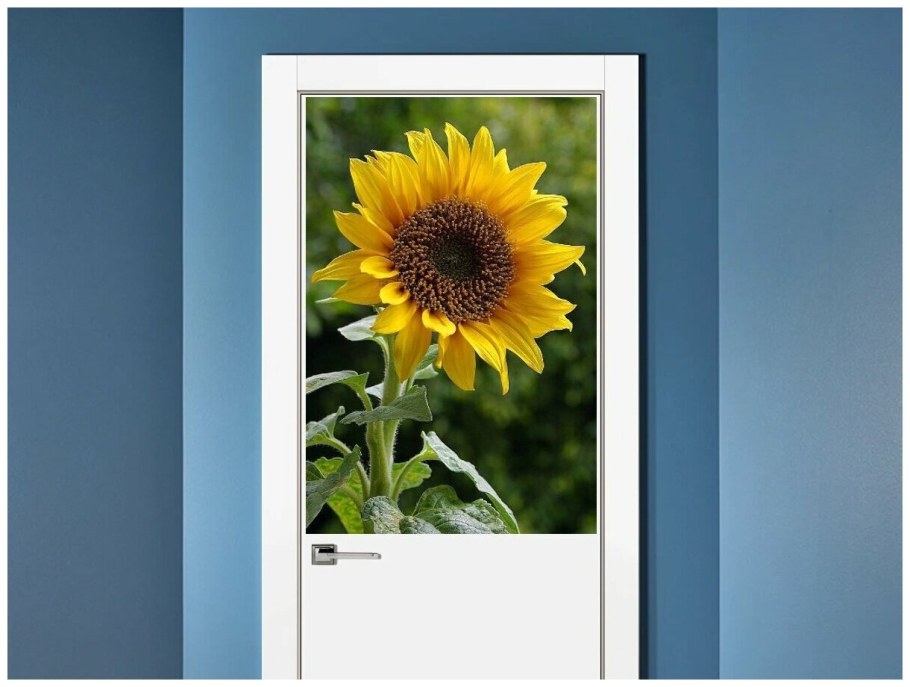 Постер. Подсолнухи