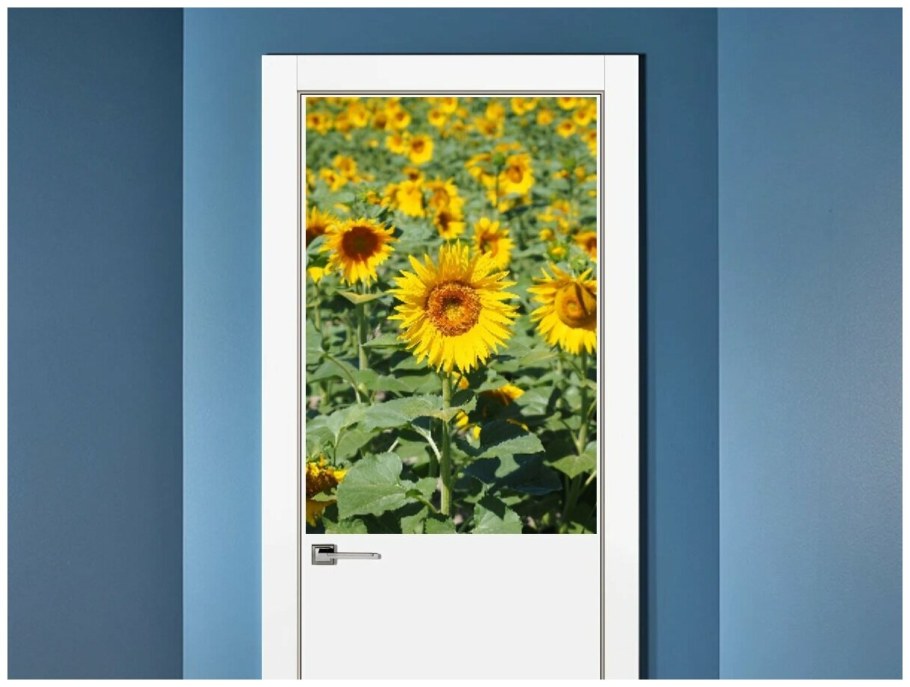 Постеры для интерьера на стену подсолнух