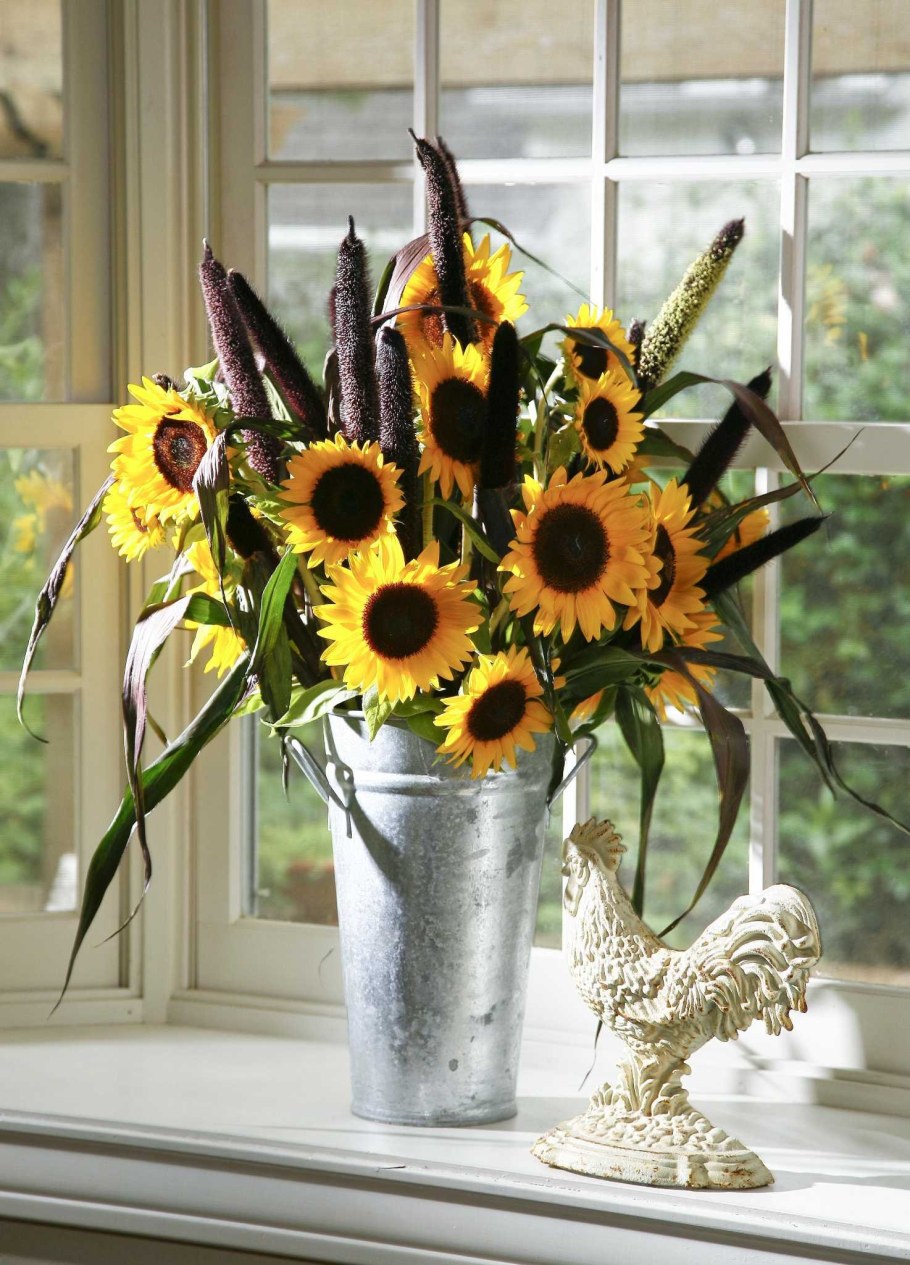 Красивые композиции из подсолнухов