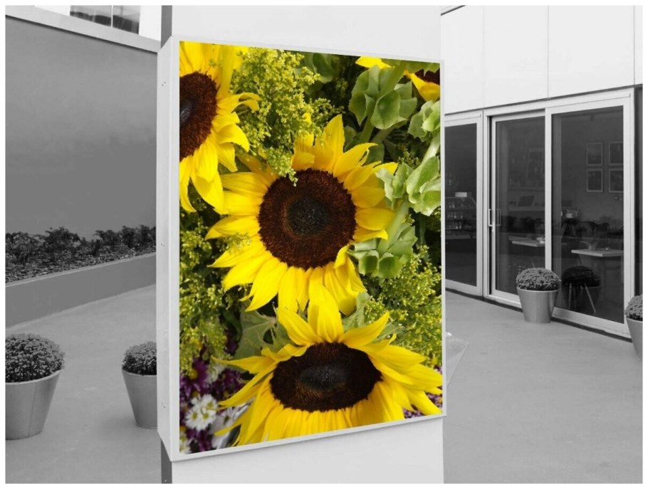 Коврик для мышки цветы Подсолнухи подсолнечник с цветами