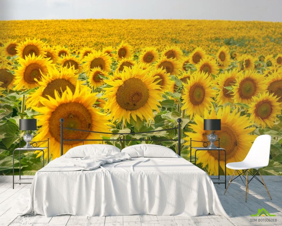 Фотообои поле подсолнухов