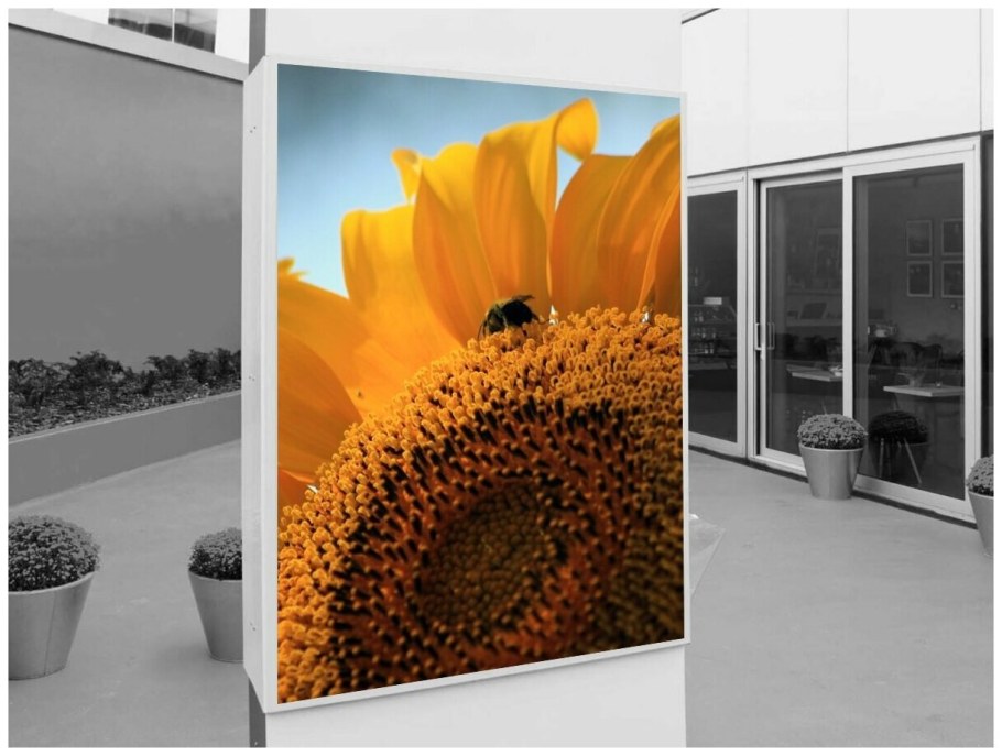Картины для дачи в интерьере Подсолнухи