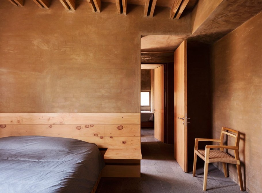 Дерево штукатуркой на стене