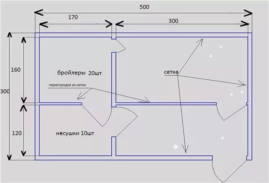 Площадь курятника на 20 кур несушек