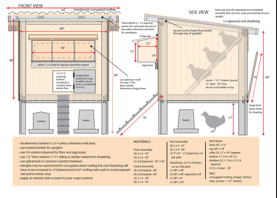 Планировка курятника на 20 кур несушек