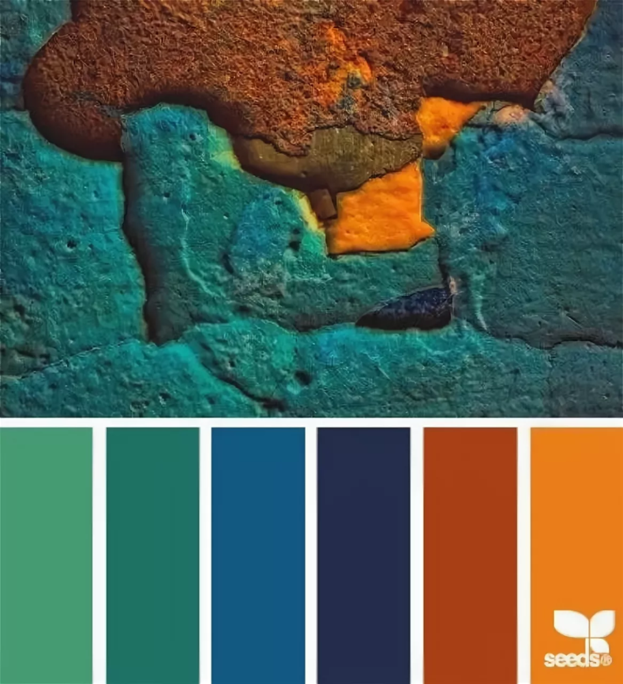 Терракотовый цвет сочетание