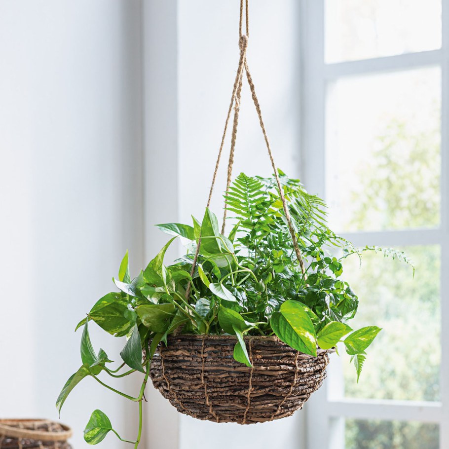 Inomata кашпо подвесное