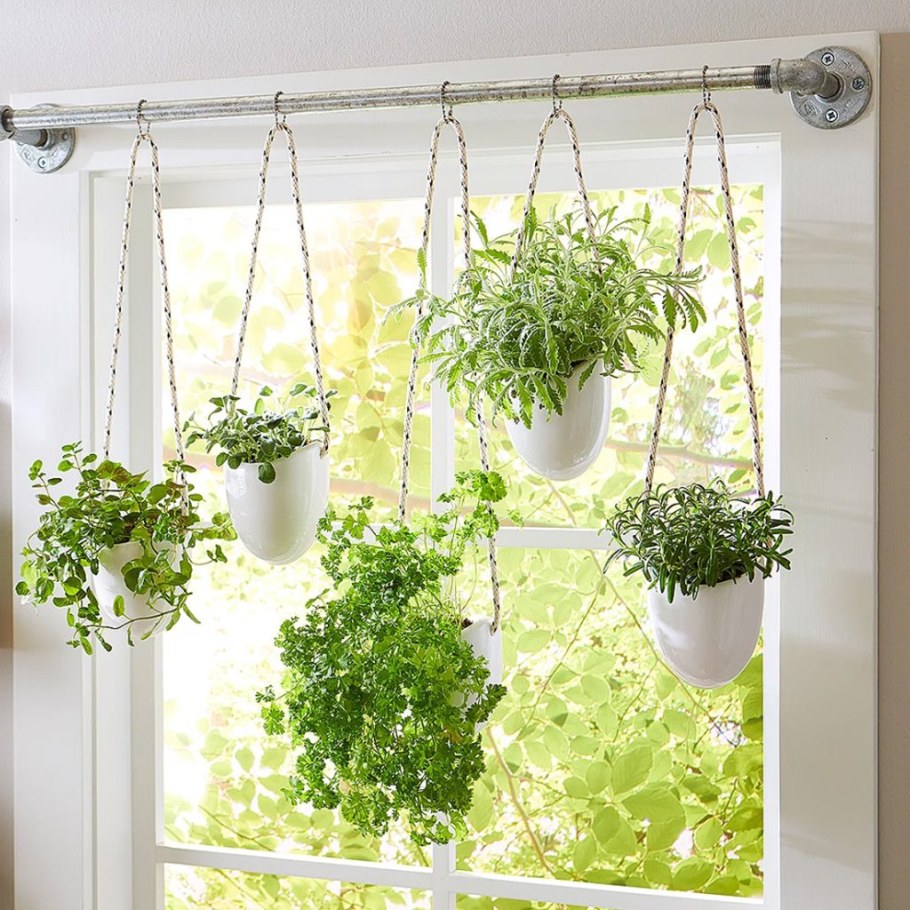 Подвесной горшок на окно