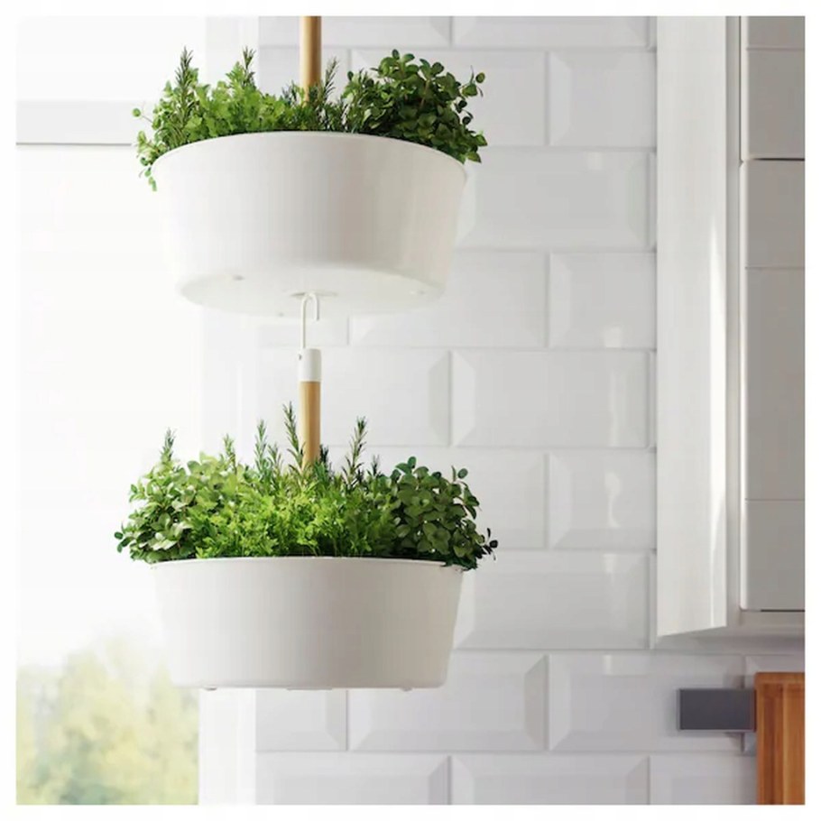 Bittergurka БИТТЕРГУРКА