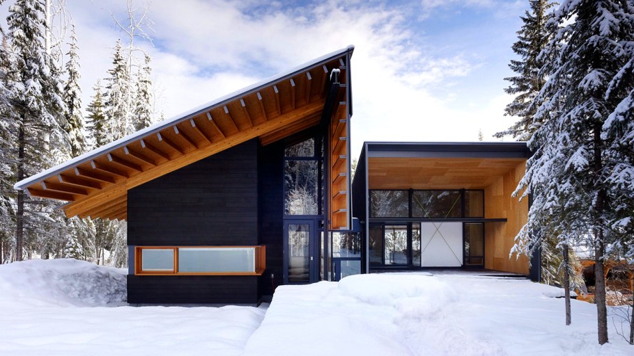 Скандинавский дом с односкатной крышей