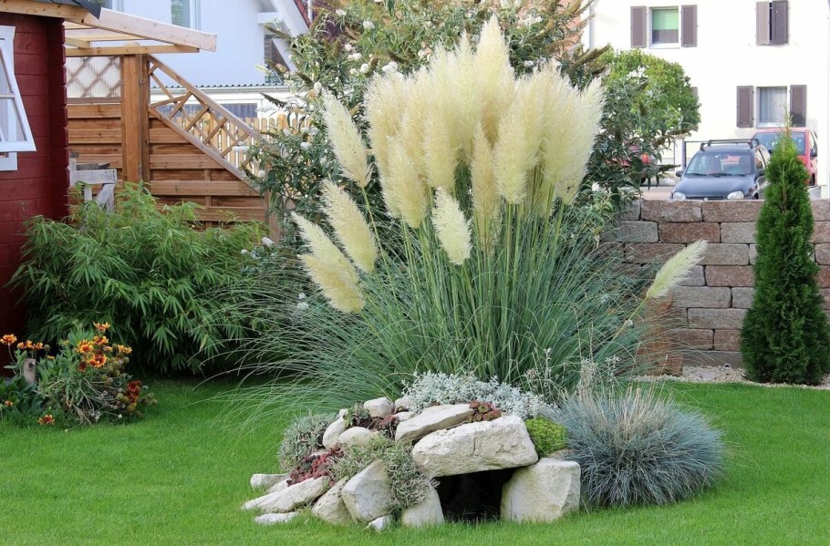 Кортадерия Эвита