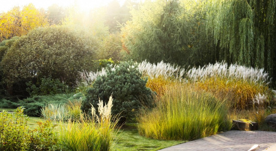 Злаковые цветники пита Удольфа