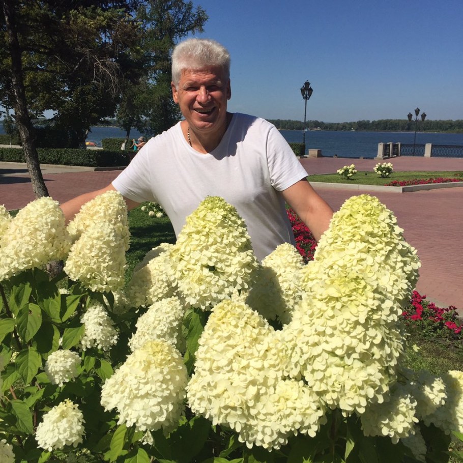 Самарский питомник гортензий веры Глуховой