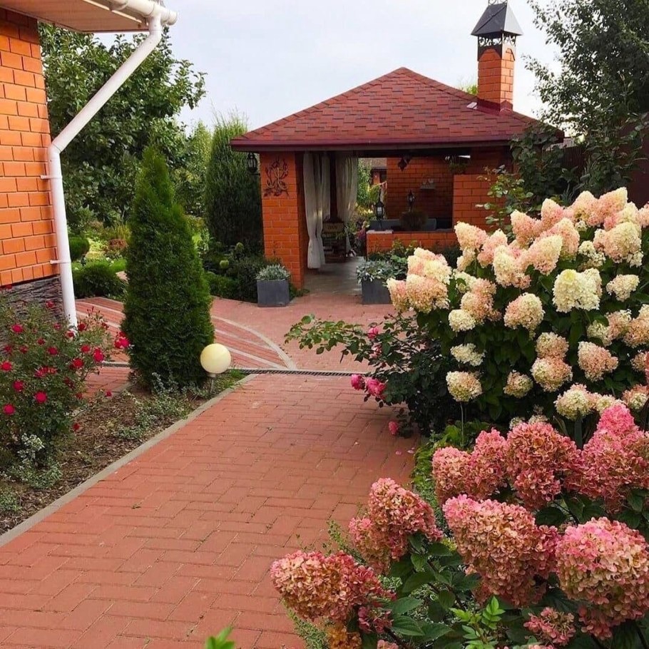 Гортензия метельчатая Framboisine