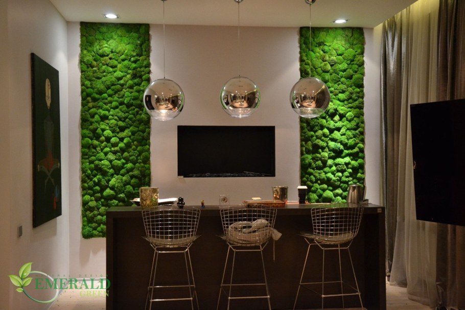 Фитостена мох стабилизированный