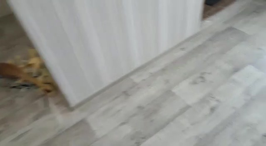 Линолеум Форест Флинт