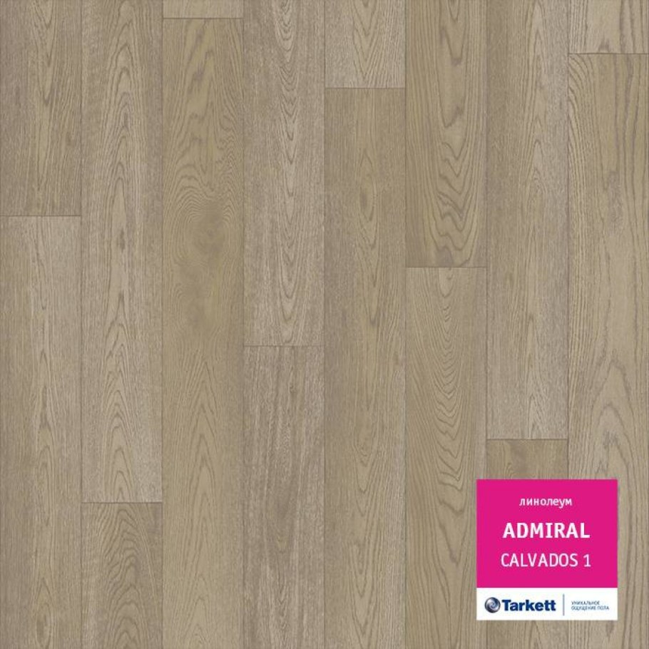 Линолеум Таркетт Гранд Вилсон 1