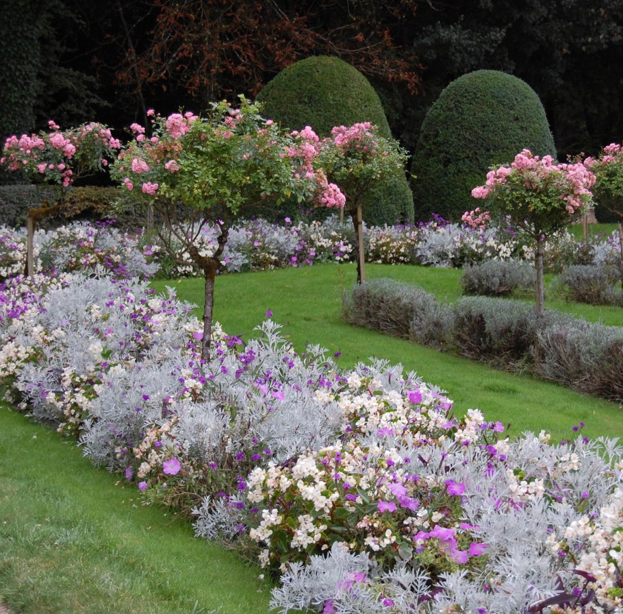 Розарий ландшафтный