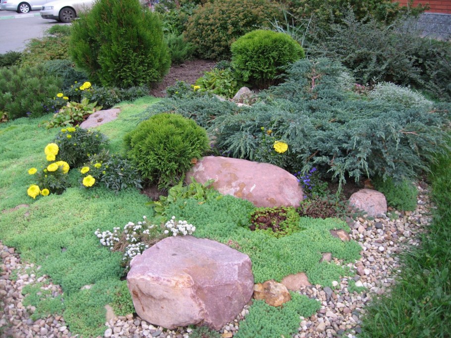 Можжевельник казацкий альпинарий