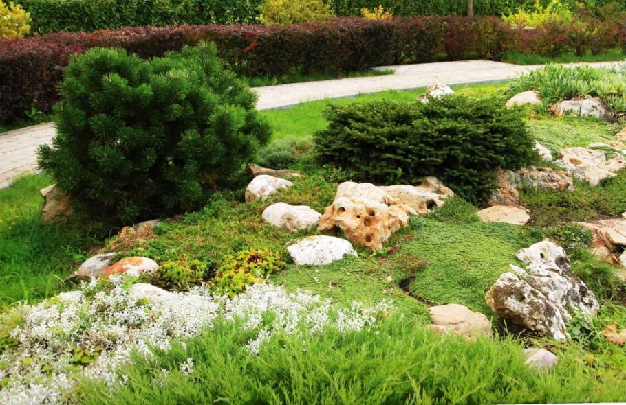 Каменистый хвойный сад рокарий