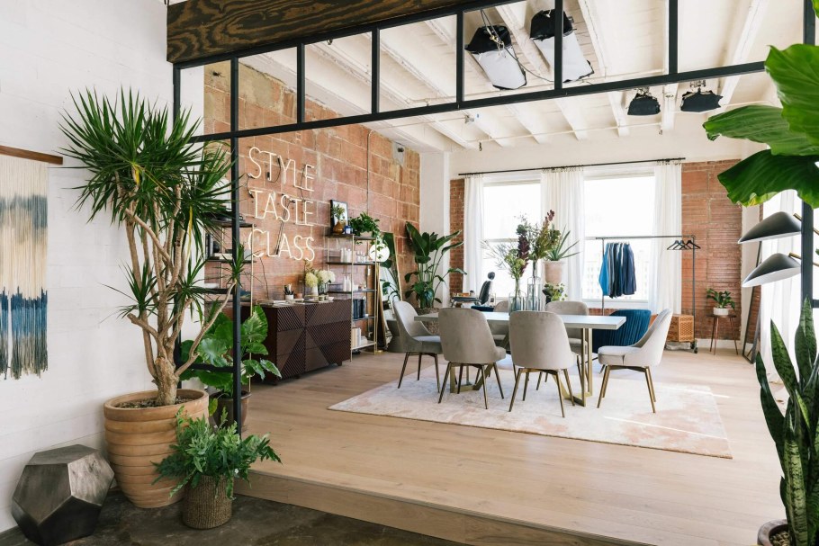 Растения в стиле лофт для интерьера