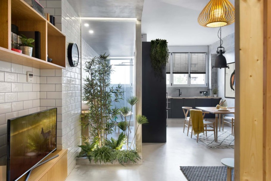 Перегородка с растениями