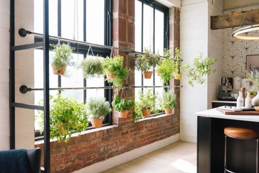 Цветы в интерьере в стиле лофт
