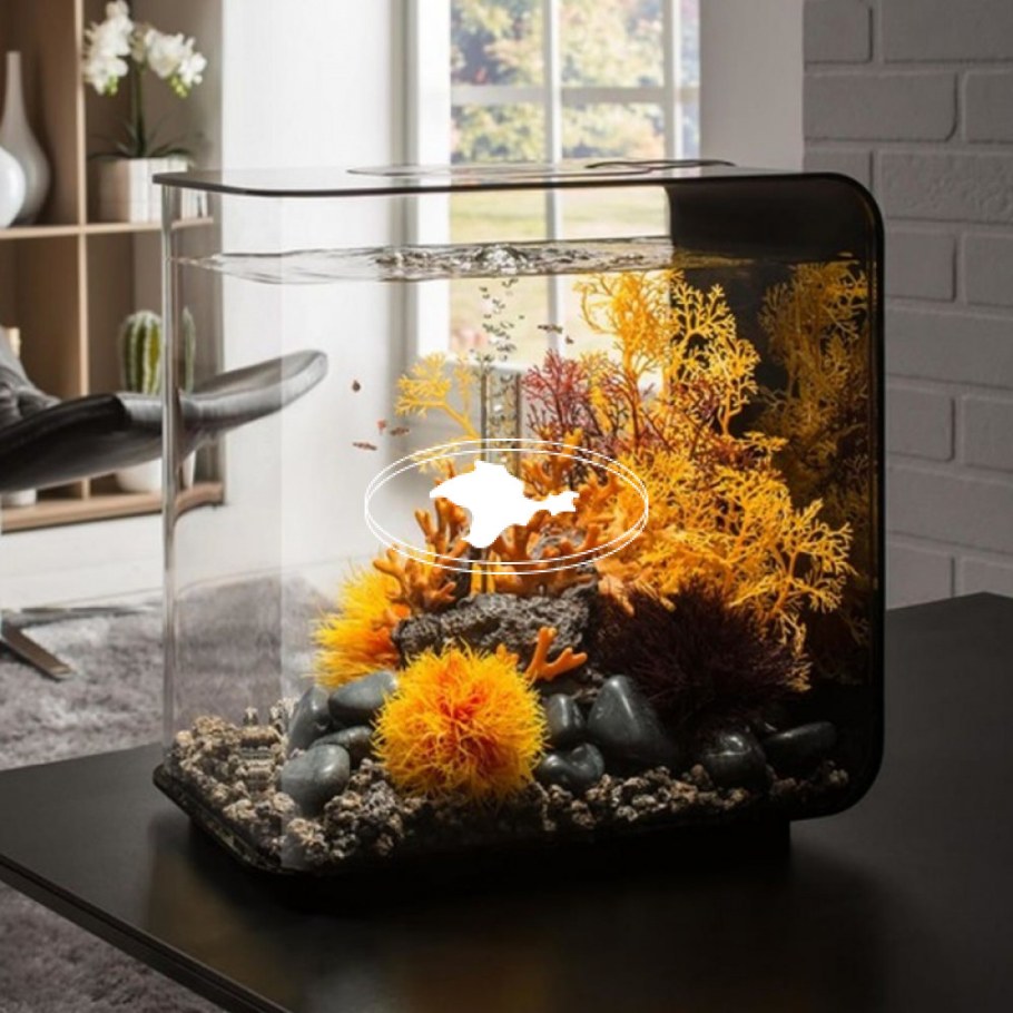 Аквариум BIORB loop 30 led White, 30л.