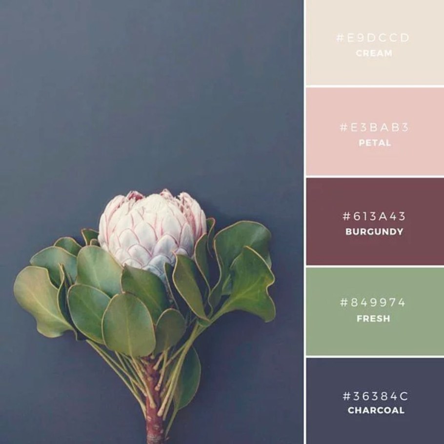 Палитра цветов для дизайнера