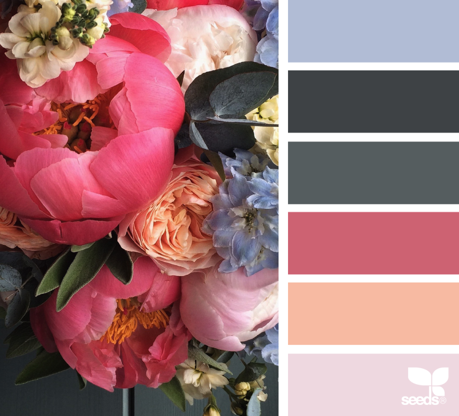 Колор Романюк палитра 6 цветов