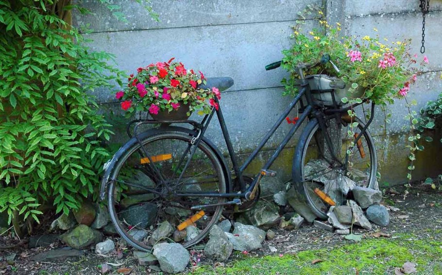 Клумба велосипед с цветами