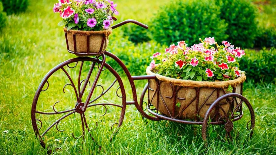 Декоративные клумбы