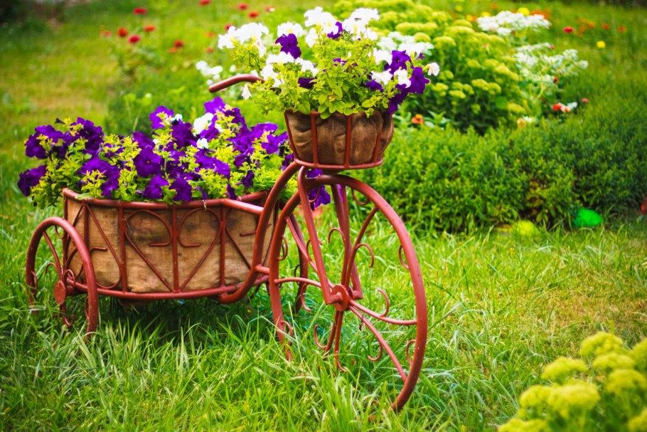 Необычные клумбы