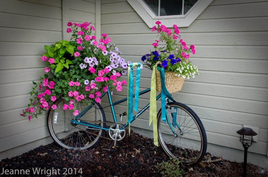 Велосипед клумба