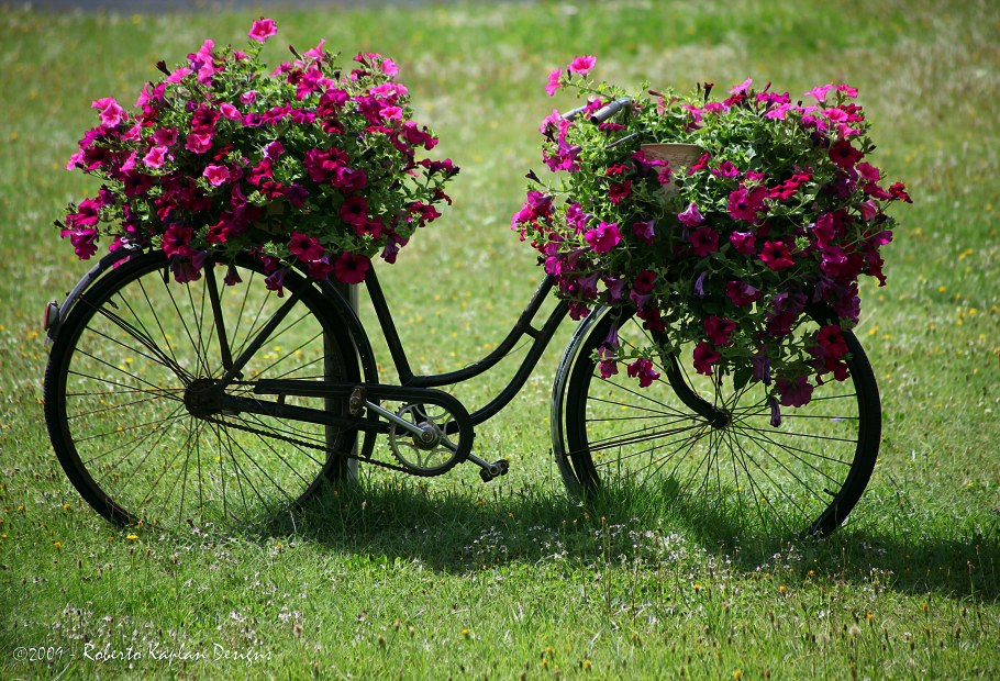 Клумба велосипед с цветами