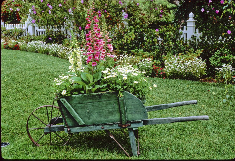 Велосипед цветник для сада