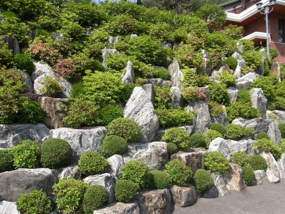 Рокарий Каменистый сад