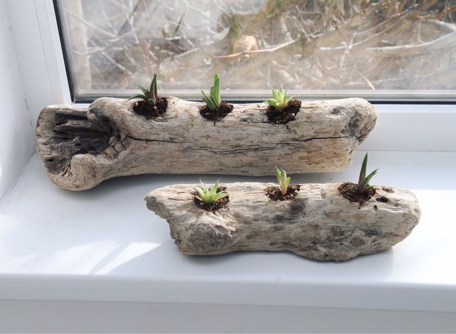 Декоративные коряги для интерьера