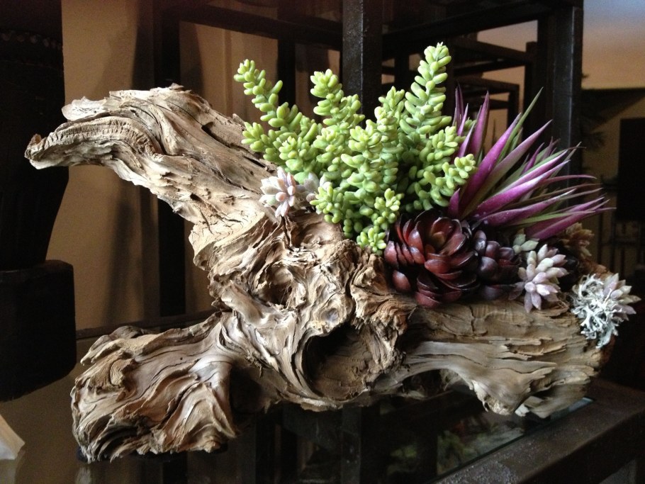 Рутарий с суккулентами