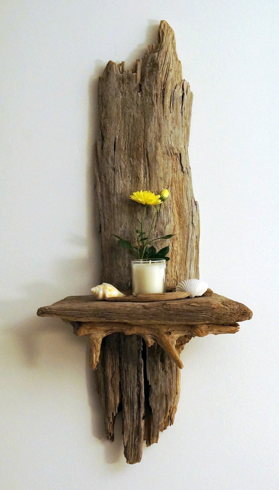 Дрифтвуд коряги