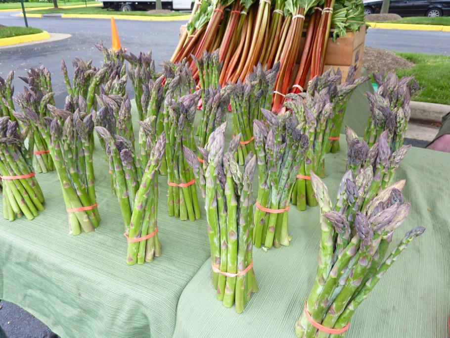 Спаржа выращивание