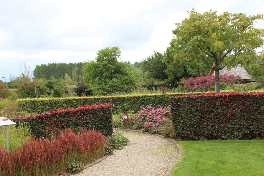 Imperial Garden Живая изгородь