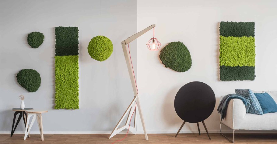 Мох в интерьере