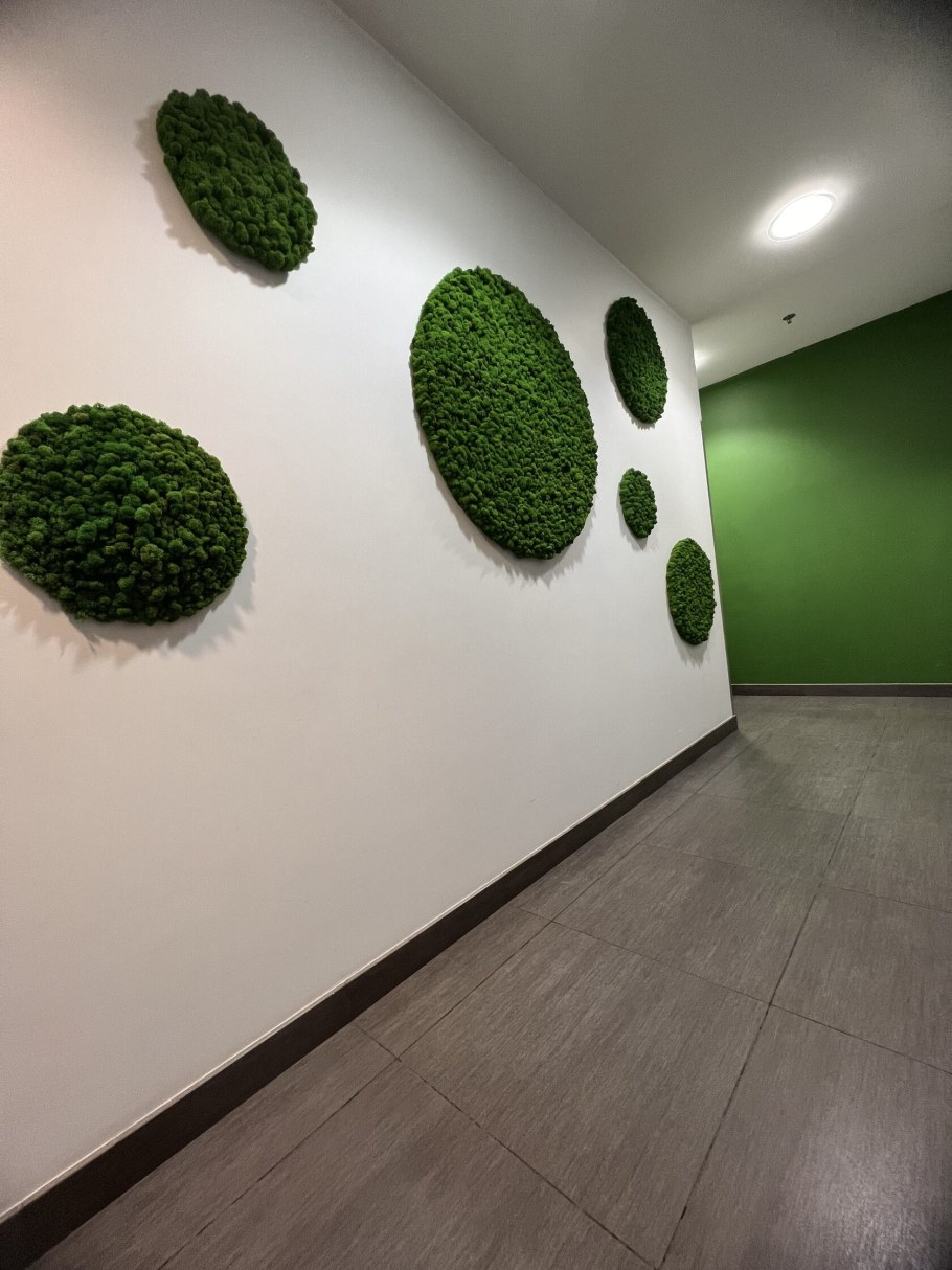 Декор из мха в интерьере