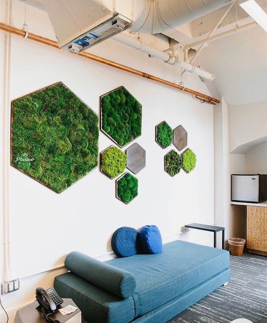 Мох в декоре интерьера