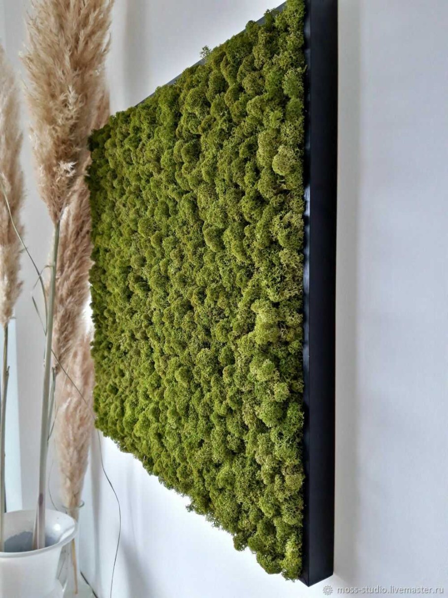 Натуральный мох в интерьере